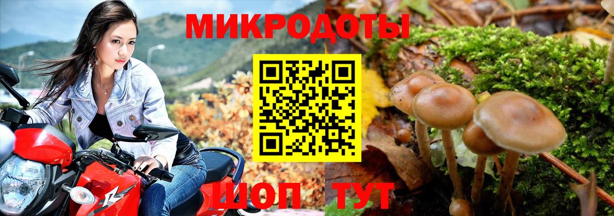 Галлюциногенные грибы Psilocybine cubensis Усть-Кут