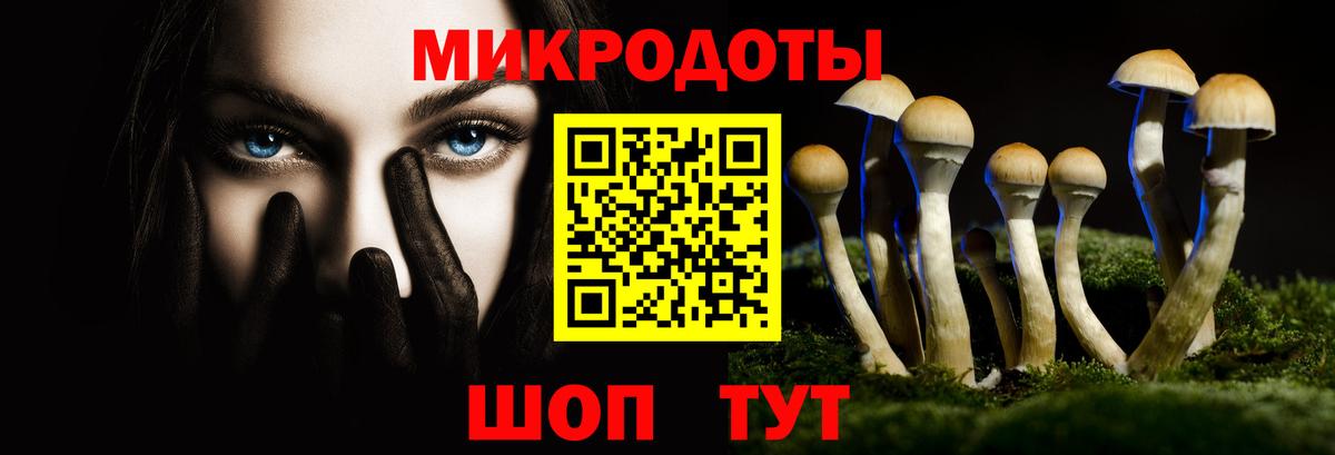 Усть-Кут  Псилоцибиновые грибы мицелий  Вход с VPN 